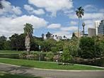 Sydney - Royal Botanic Gardens - 