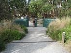 Koala Conservation Centre - Entrance to the boardwalk 