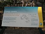 Koala Conservation Centre - Koalas sleep or rest 20 hours per day 