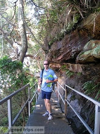 Path to the Wattamolla Lagoon