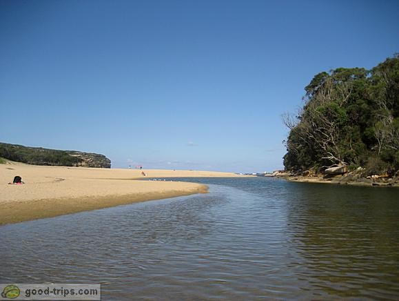 Royal National Park near Sydney