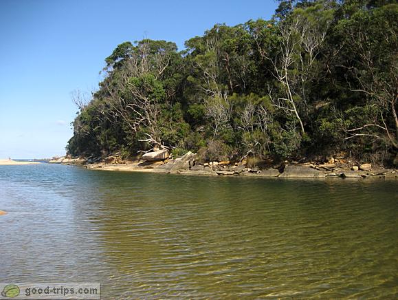 Pleasant swimming in the lagoon of Royal National Park