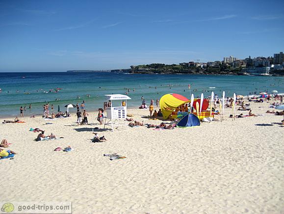 Lifeguard at Bondi Beach