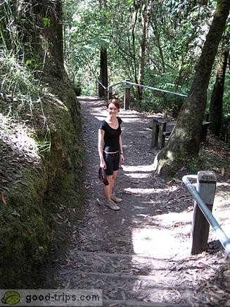 Trail to the base of Erskine Falls