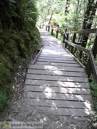 Path to the Erskine Falls