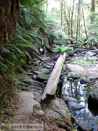 Trail along brook at Erskine Falls Base