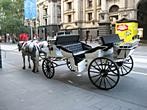 Melbourne - Carriage near Melbourne Town Hall 