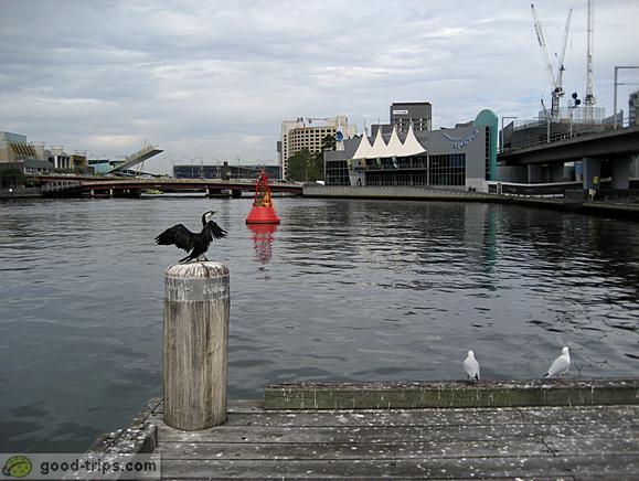 Aquarium near Yarra River