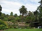 Melbourne - Royal Botanic Gardens