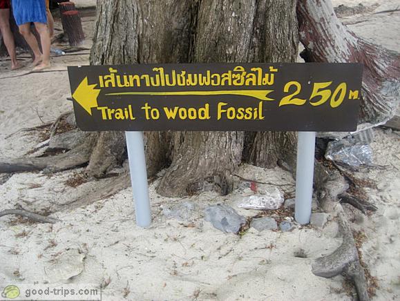Sign for Trail to wood fossil