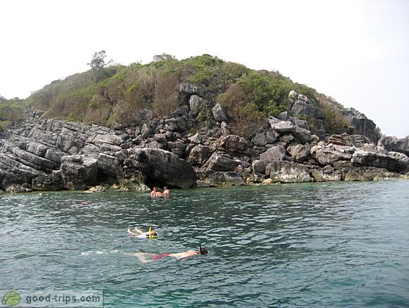 Fishes in Ang Thong National Marine Park