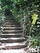 Buddha's Footprint - Start of the 150 steps to the shrine  Buddha's Footprint - Start of the 150 steps to the shrine