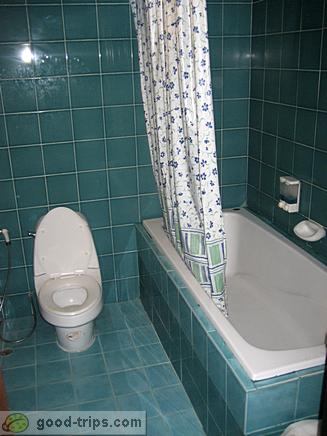 Tub and toilet