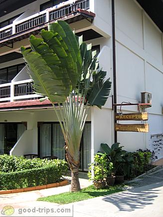 Corner of the Seascpe Beach Hotel