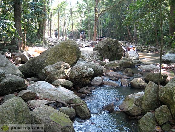 Na Muang 1 Waterfall <br> Elephant Trekking in background