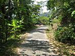 Overlap Stone - Road to the Overlap Stone  Overlap Stone - Road to the Overlap Stone