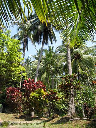 Looks like some beautiful park