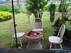 Samui Airport - Chairs in the garden on Samui Airport 